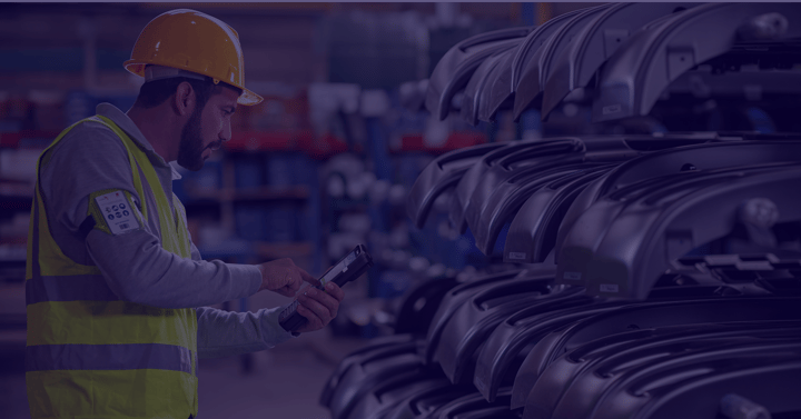 manufacturing zebra