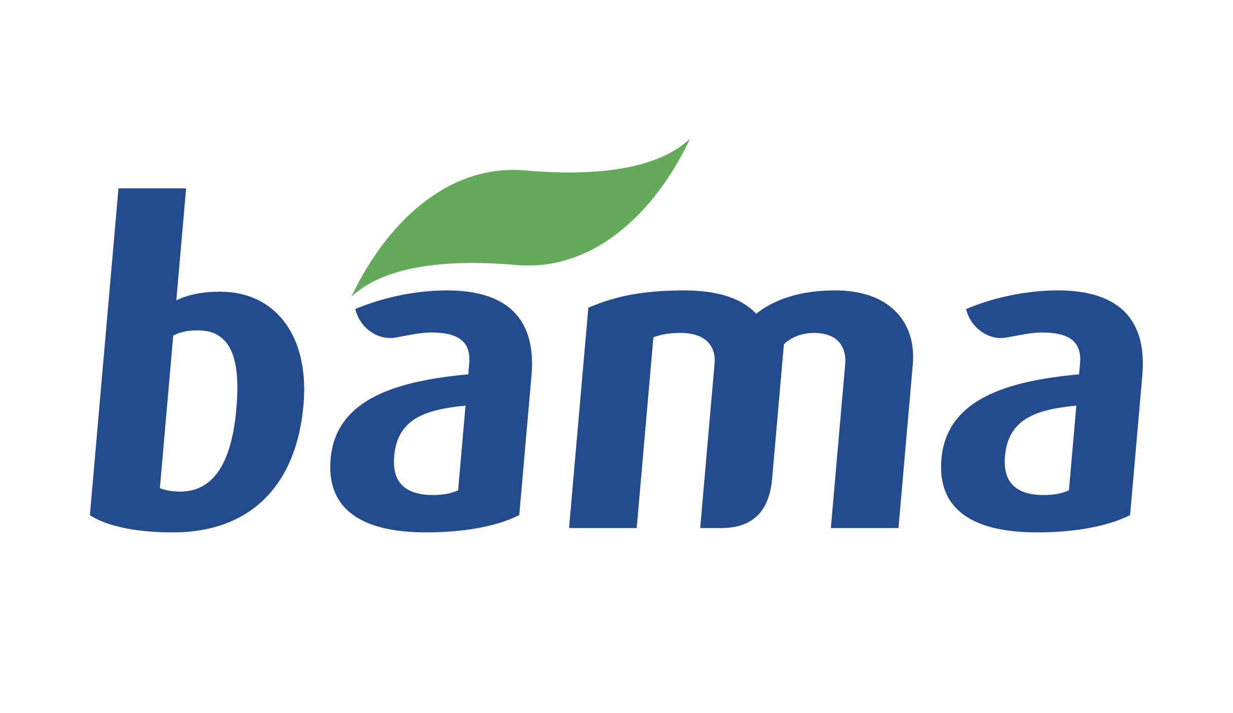Bama-1