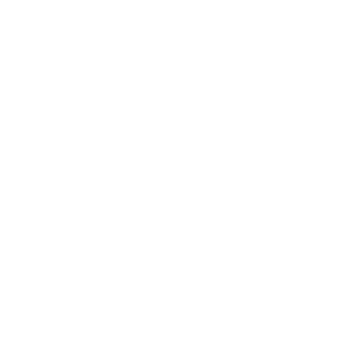 Software@10x